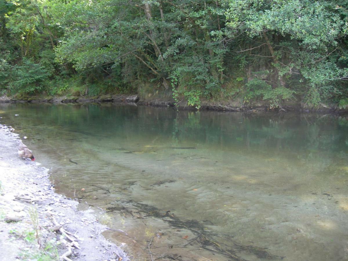 Appartement Les Rives De L'Ariege Luzenac Eksteriør billede