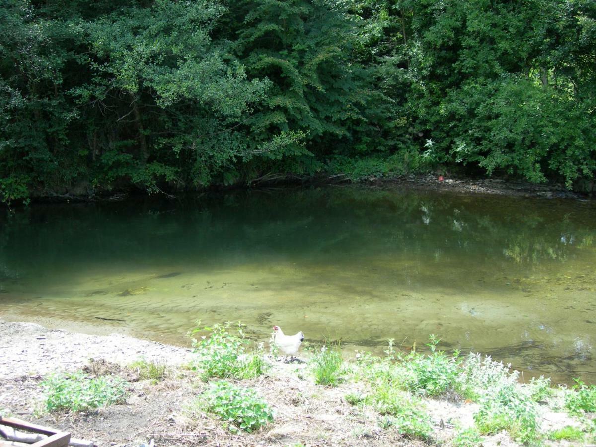 Appartement Les Rives De L'Ariege Luzenac Eksteriør billede
