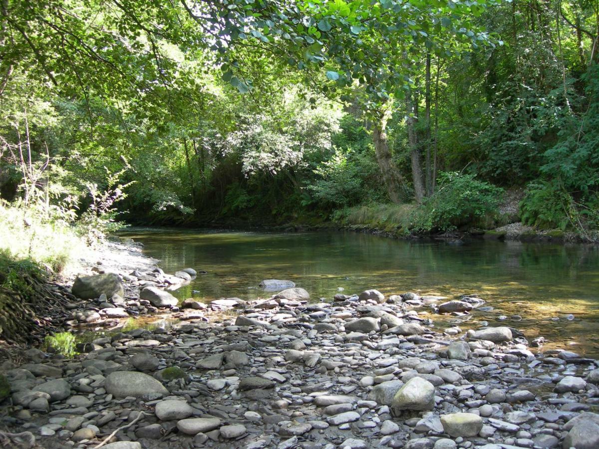 Appartement Les Rives De L'Ariege Luzenac Eksteriør billede