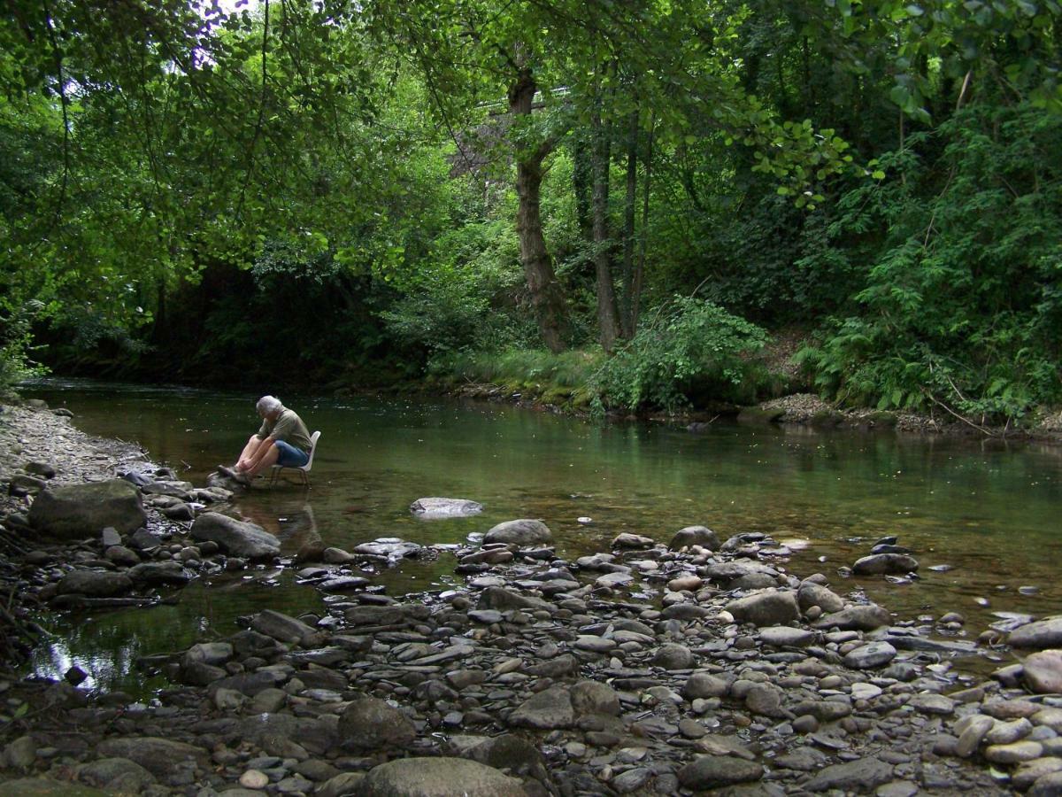 Appartement Les Rives De L'Ariege Luzenac Eksteriør billede