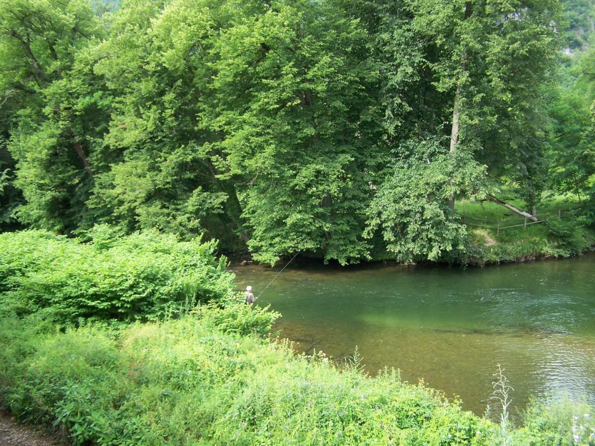 Appartement Les Rives De L'Ariege Luzenac Eksteriør billede